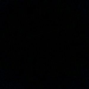 Meet your Posher, Lamarkus